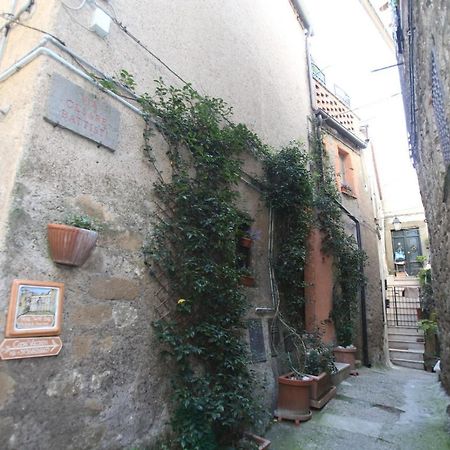 Villa Gusto E Benessere Sweet Home E Ristorante Sacrofano Εξωτερικό φωτογραφία